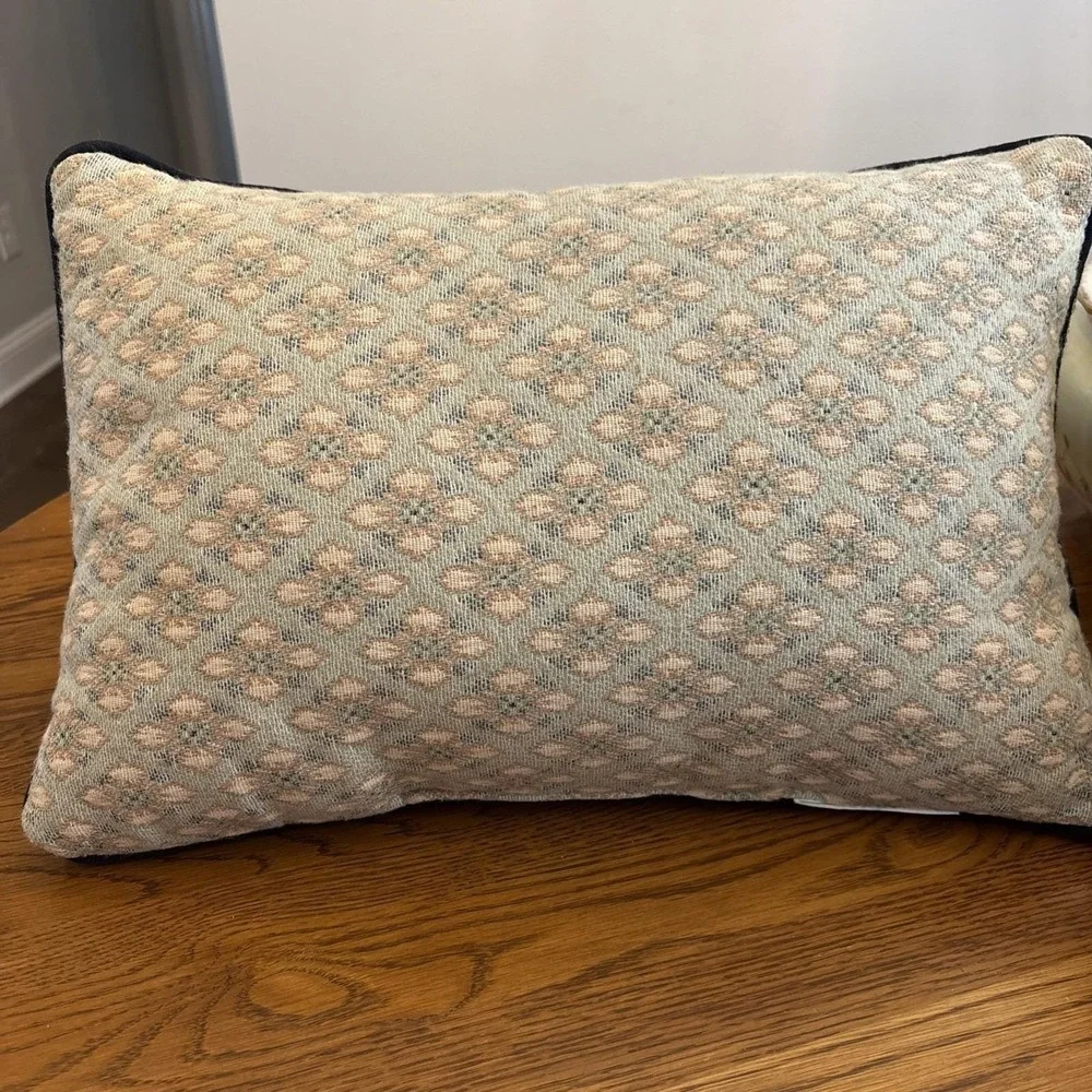 Dog Pillows 2 Dachshund Decorative Pillows Fun Weiner Dogs